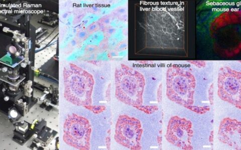 The world of biological imaging